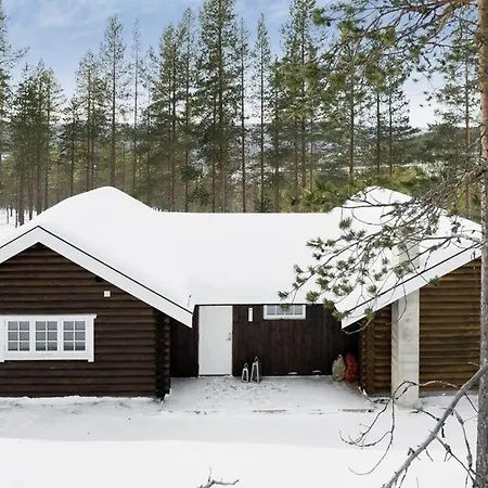 Rust, Ruimte En Frisse Berglucht Chalet Rendalen